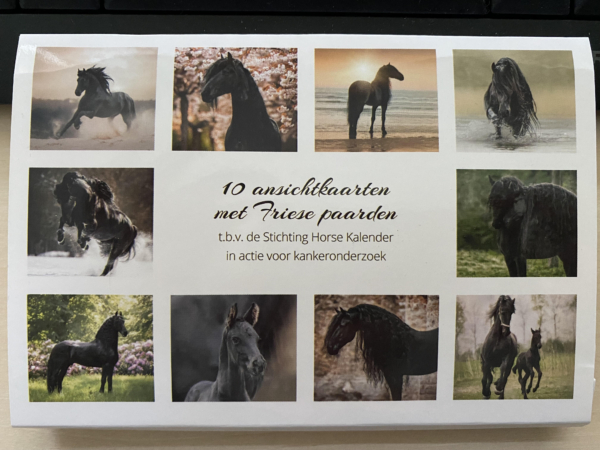 Set van 10 ansichtkaarten met Friese paarden